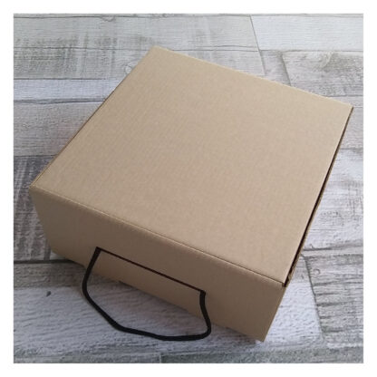 Caja De Cartón Microcorrugado Con Manija 22x22x10cm
